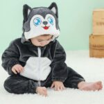 اوفر حيوانات قط - 70